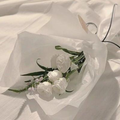 草花新仙剑奇侠传手游下载