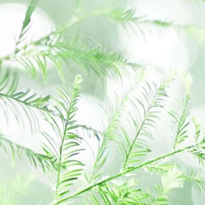 沙雕的迷惑行为手机版(暂未上线)v1.0.0 安卓版